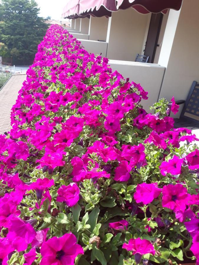 Da Roberto Hotel Lazise